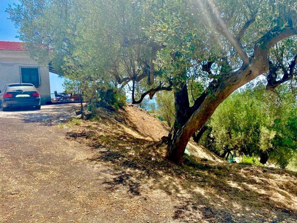 Villa Lo Scoglio Ascea Εξωτερικό φωτογραφία